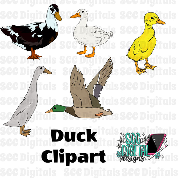 Duck clipart