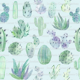 Succulents